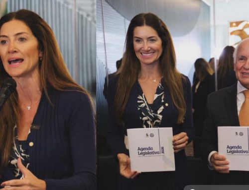 Lançada Agenda Legislativa 2026 da Frente Parlamentar Evangélica: vice-presidente, Deputada Greyce Elias, faz discurso em defesa da família e pela liberdade